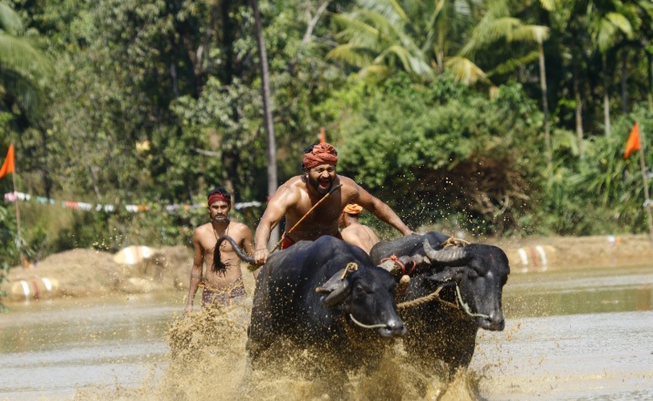 தடைகளை கடந்து சாதனை படைத்து வரும் ‘காந்தாரா’