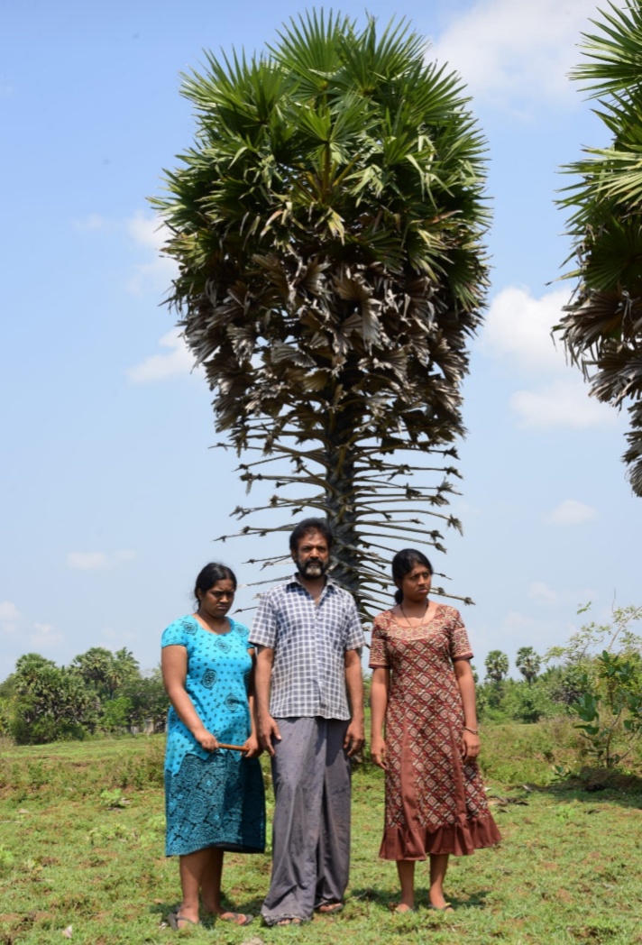 RSSS பிக்சர்ஸ் தயாரிப்பில் 40 சர்வதேச திரைப்பட விழாக்களில் தேர்வான ‘ஒற்றைப் பனை மரம்