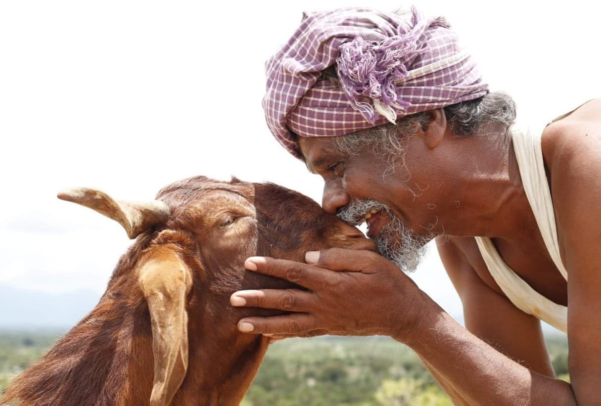 ஒண்டிமுனியும் நல்லபடனும் விமர்சனம்