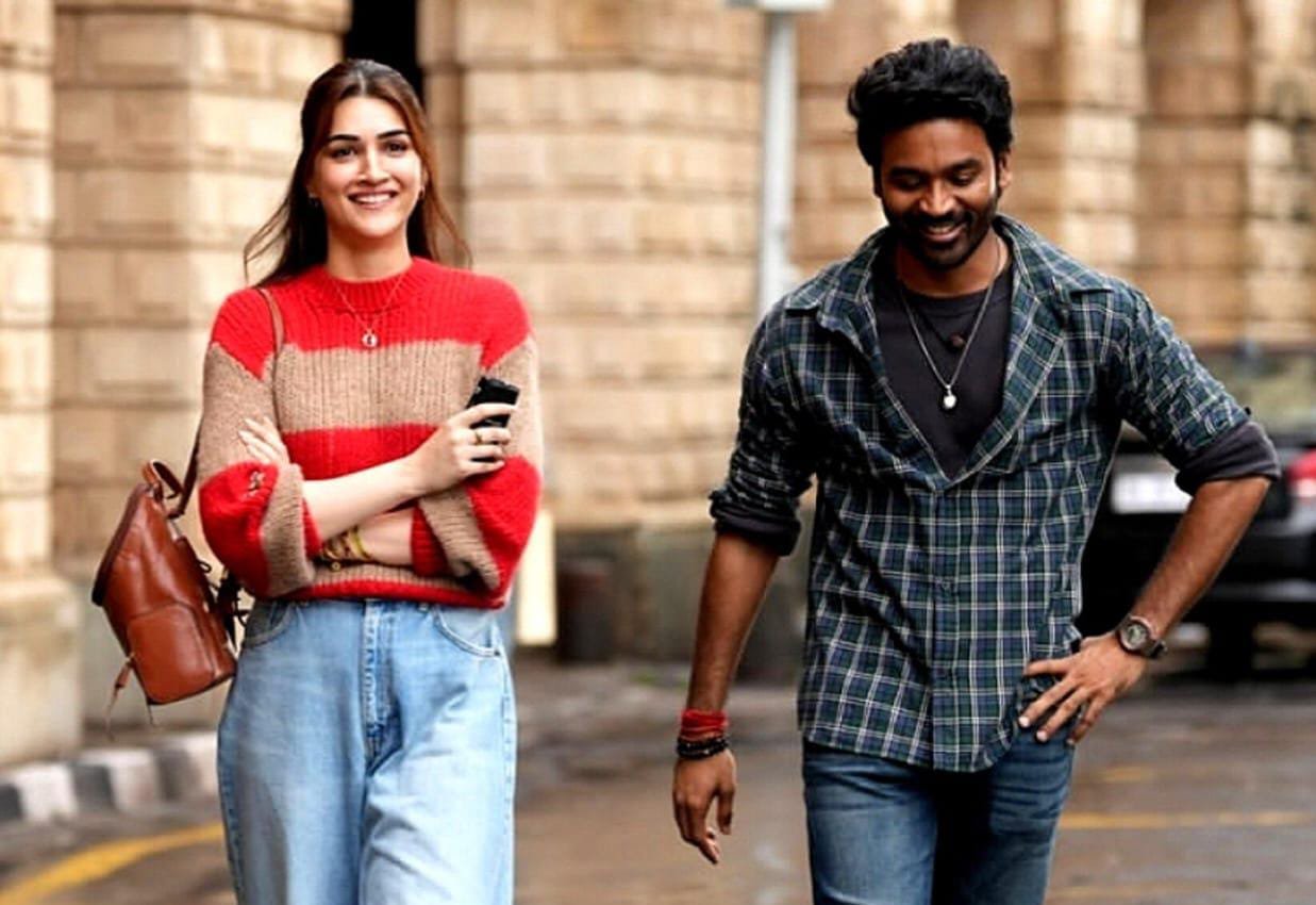 தேரே இஷ்க் மேய்ன் விமர்சனம்